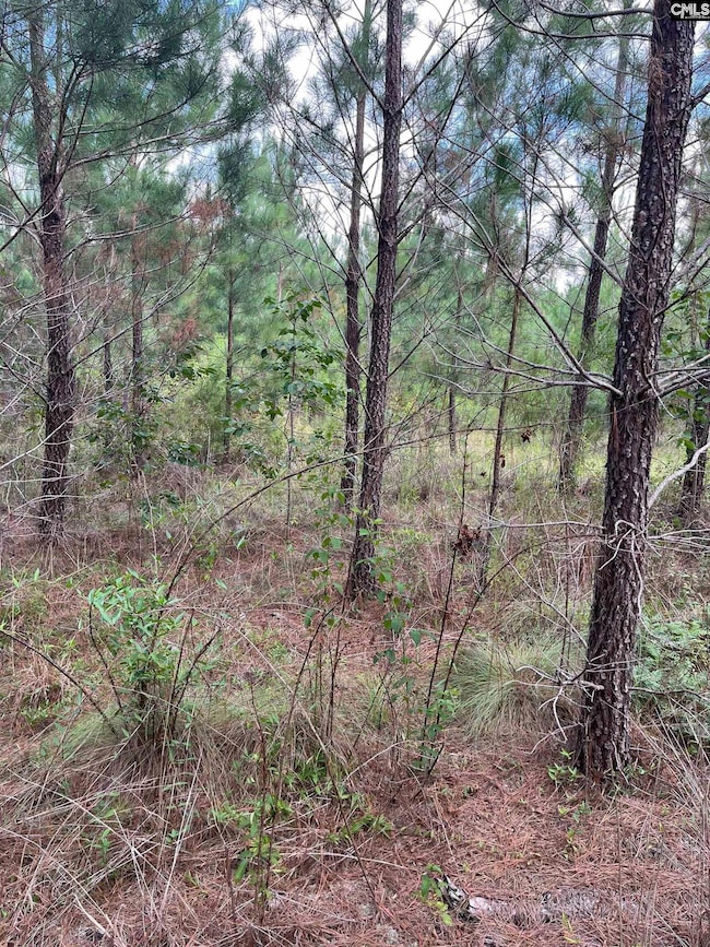 BFF 1A J C Barefoot Rd unit BFF 1A, Patrick, SC 29584 - photo 4