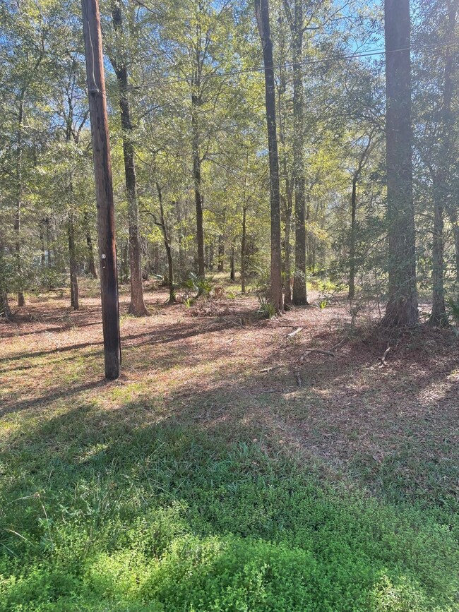 TBD County Road 441, Dayton, TX 77535 - photo 7