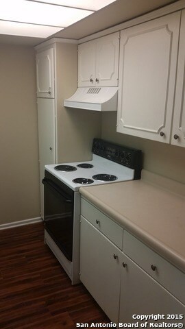 Georgian Condominiums unit 209, San Antonio, TX 78209 - photo 5