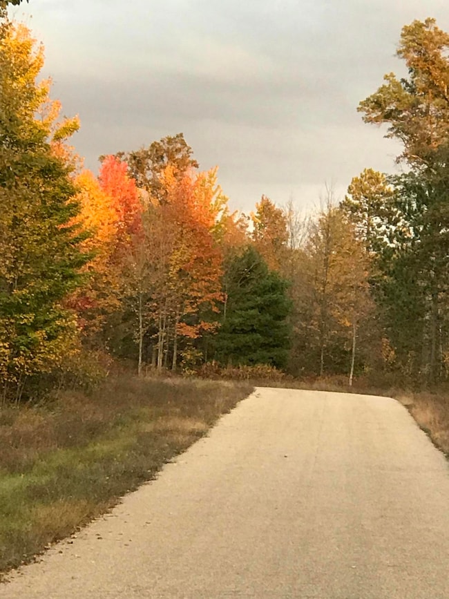 Lt10 Finelli Ave, Crivitz, WI 54114 - photo 3