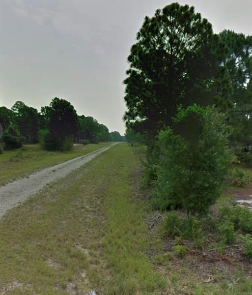 232 Moon River Ave, Lake Placid, FL 33852 - photo 3