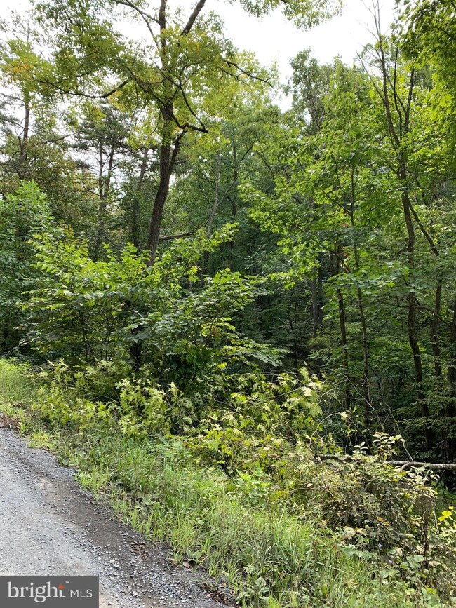 0 Unknown unit VASH117156, New Market, VA 22844 - photo 3