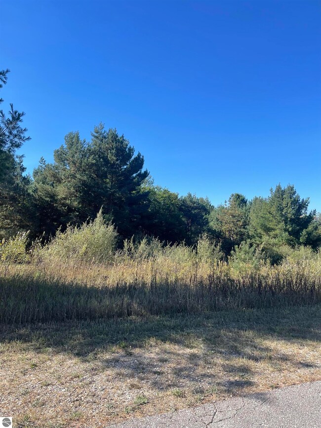 000 Paradise Hills Dr unit 1, Central Lake Township, MI 49622 - photo 4