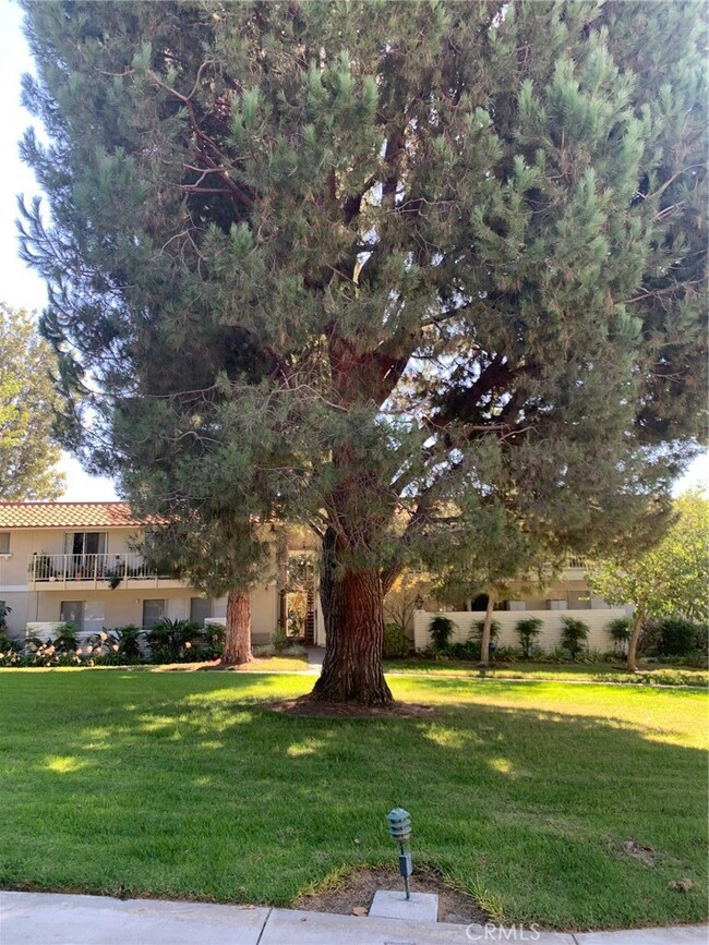 810 Ronda Mendoza unit A, Laguna Woods, CA 92637 - photo 2