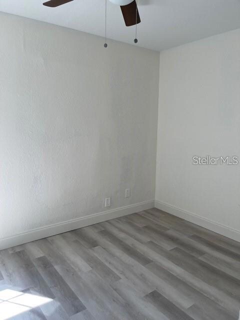 3015 W Chestnut St unit A, Tampa, FL 33607 - photo 5