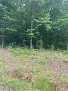 0 Teludachee Trail unit RTC2720903, South Pittsburg, TN 37380 - photo 7