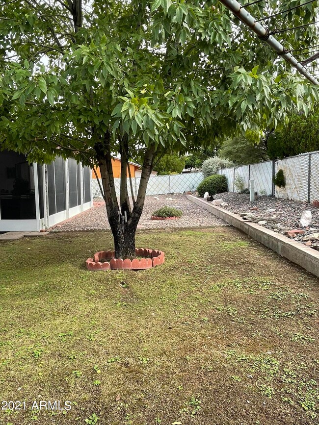 Backyard landscape