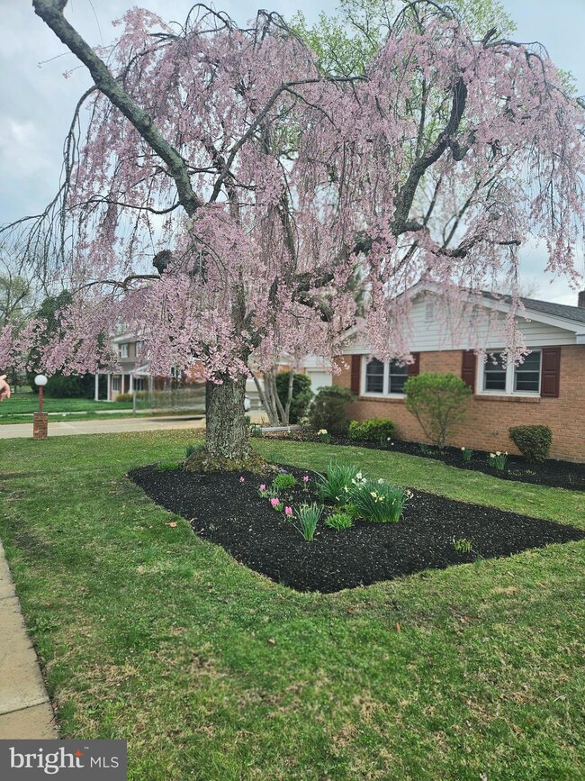 2610 Stephenson Dr, Wilmington, DE 19808 - photo 3