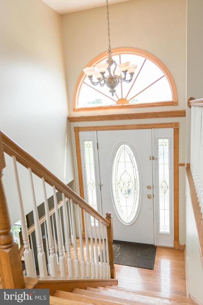 204 Trefoil Ct, Winchester, VA 22602 - photo 3