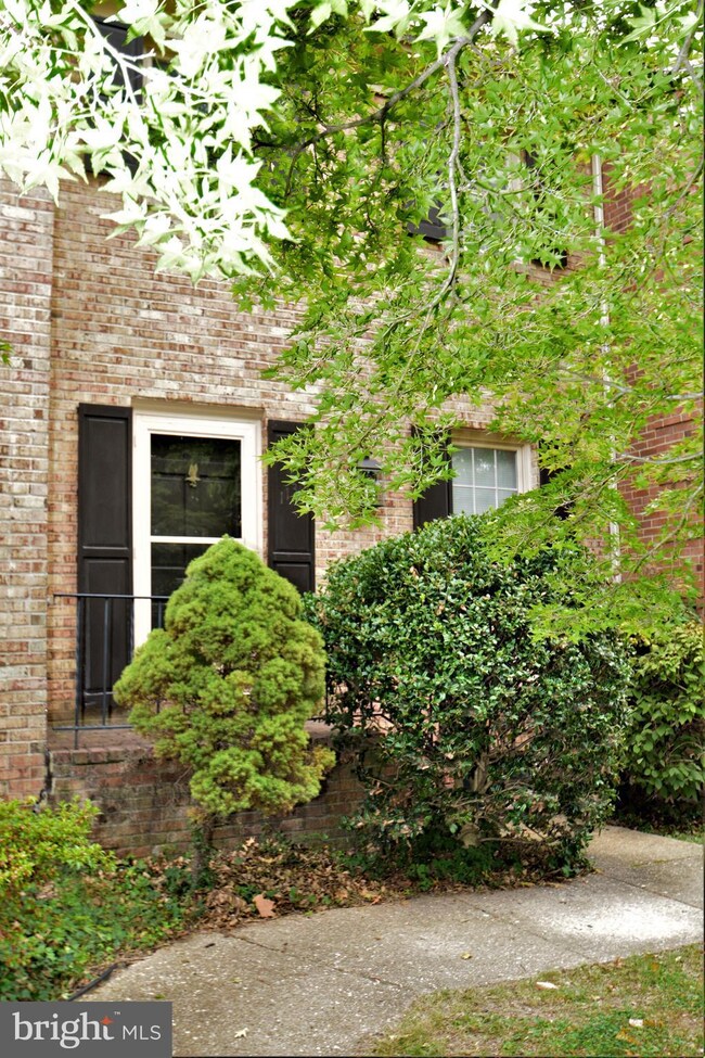 1133 N Broom St, Wilmington, DE 19806 - photo 3