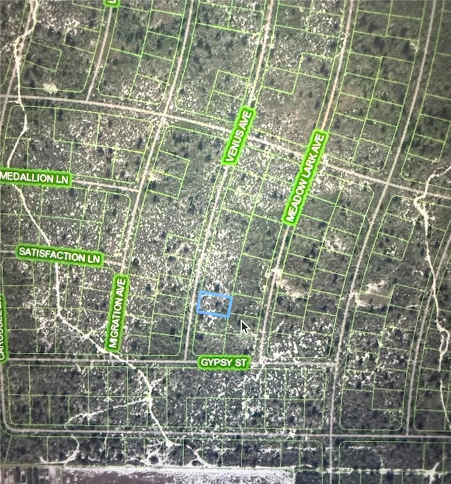 548 Venus Ave, Lake Placid, FL 33852 - photo 3