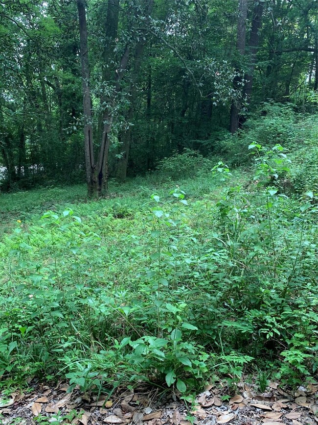 688 Selma Hwy, Prattville, AL 36067 - photo 7