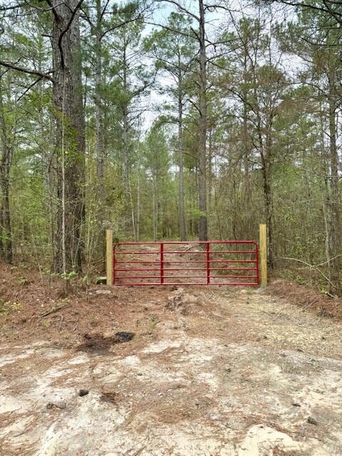 2150 Brown Rd, Hephzibah, GA 30815 - photo 3