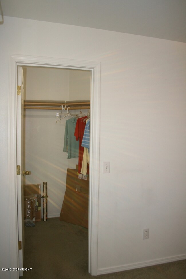 Walk in closet in spare bedroom
