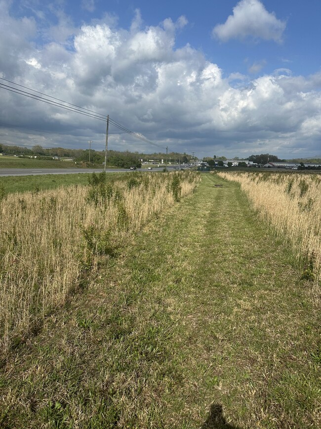 0 Manchester Hwy unit RTC2817165, Morrison, TN 37357 - photo 5