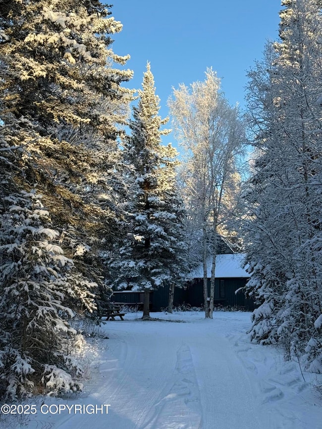 3448 Jack Warren Rd, Delta Junction, AK 99737 - photo 2