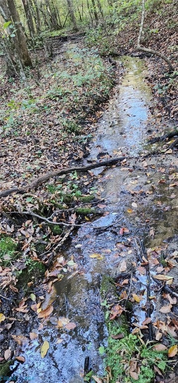 00 Plainview Dr, Saluda, VA 23149 - photo 5