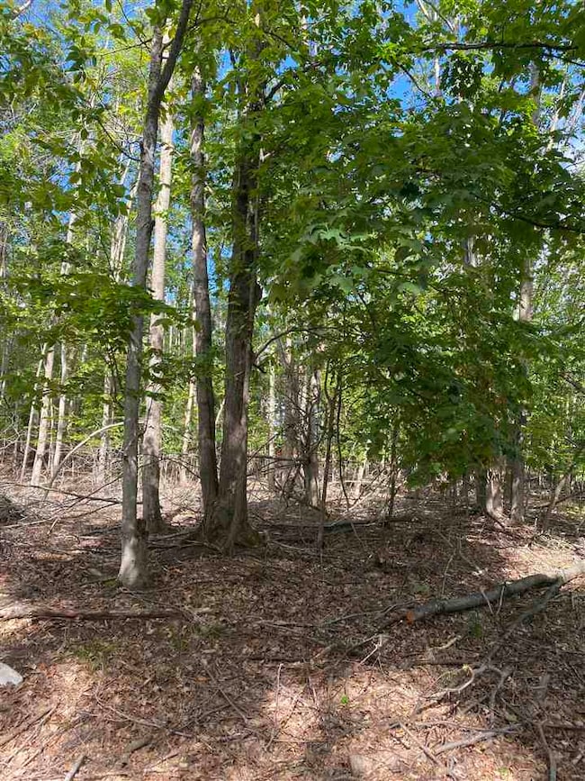 Lots 156 & 157 Humming Bird Ct unit 156 & 157, Otsego Lake Township, MI 49735 - photo 6