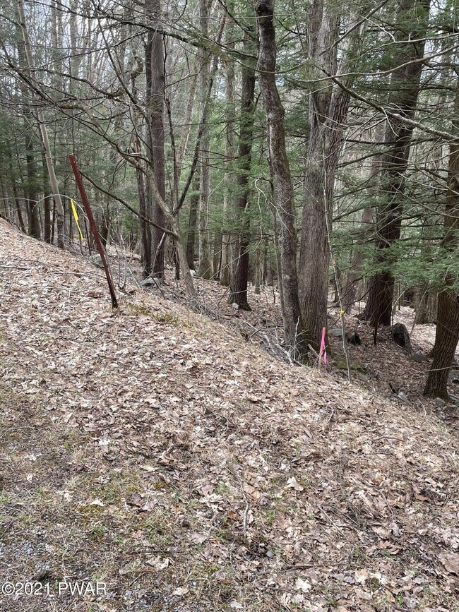 lot 10 Woodledge Alley E, Hawley, PA 18428 - photo 4