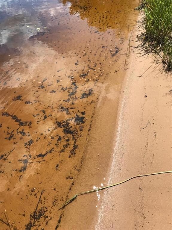 26808 Hopkins Rd, Webster, WI 54893 - photo 4