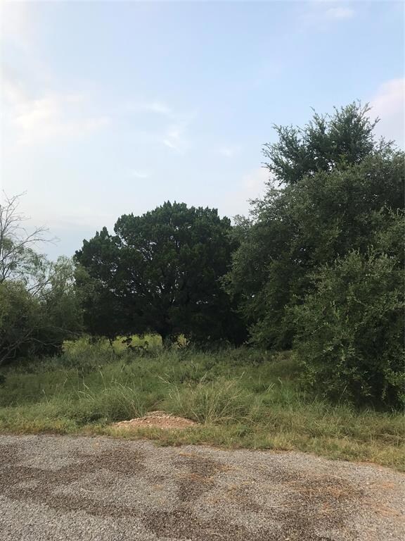 14063 Sandy Oaks Ct, Whitney, TX 76692 - photo 6