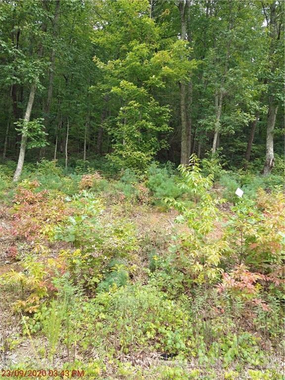 39 Tallwood Rd unit 4, Leicester, NC 28748 - photo 5