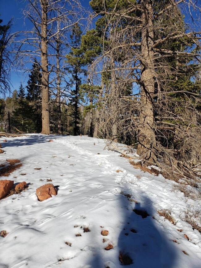 0 Navajo Trail unit Lot 25,Blk B, Ski Vi, Brian Head, UT 84719 - photo 7