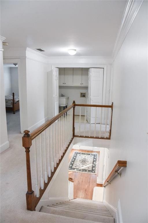 Staircase with crown molding and carpet floors