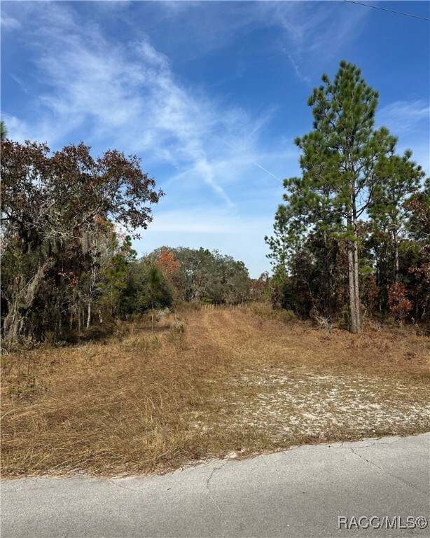 Lot 2 NE 151 Terrace, Williston Highlands, FL 32696 - photo 5
