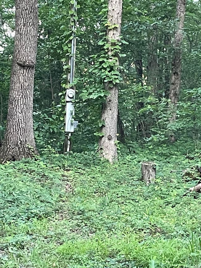 868 Watson Rd, Clinton, AR 72031 - photo 3