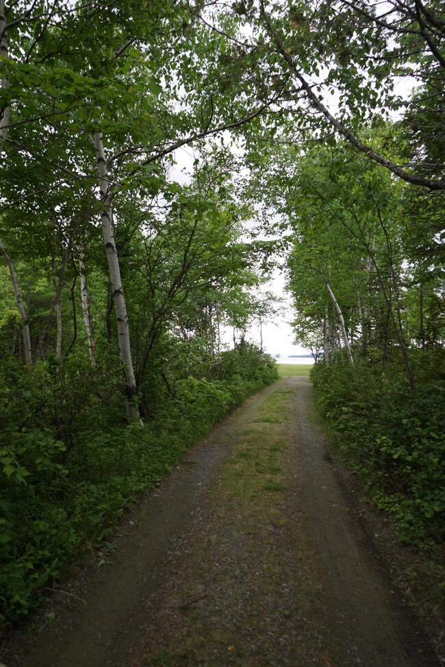 DSC02538