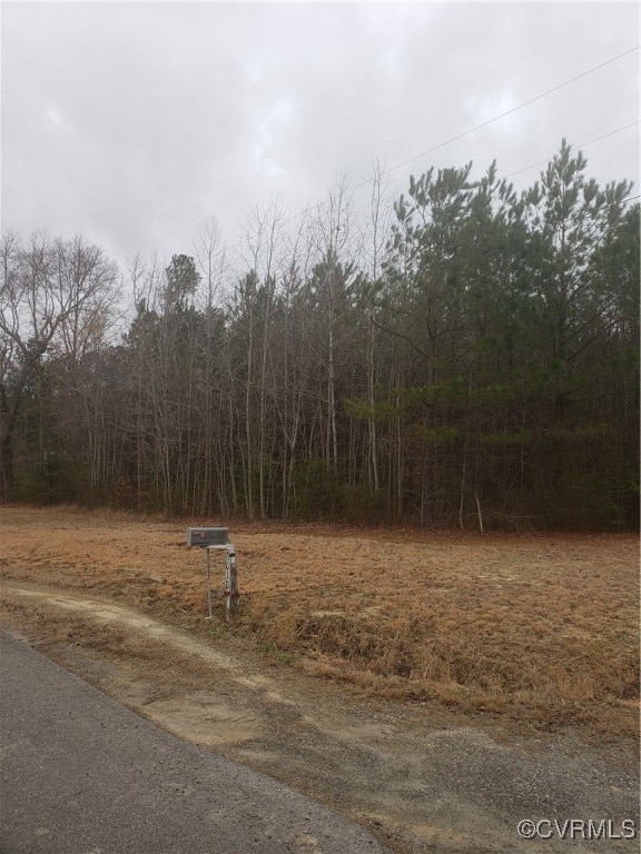 7016 Chippokes Rd, Spring Grove, VA 23881 - photo 2