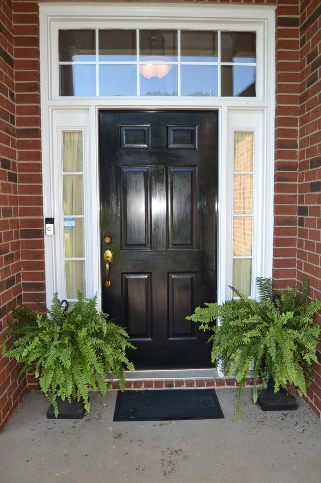 Front Door 2