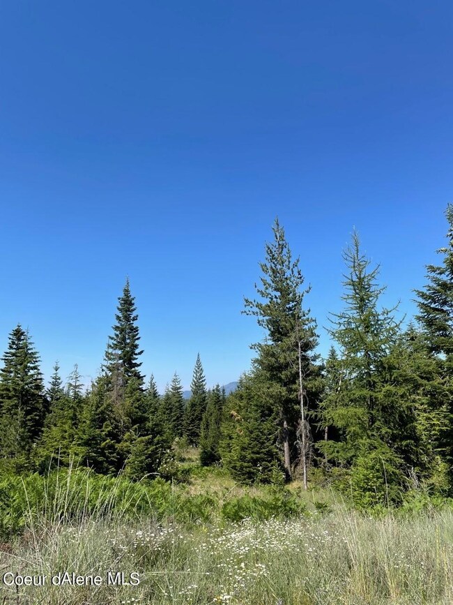 Lovely treed acreage