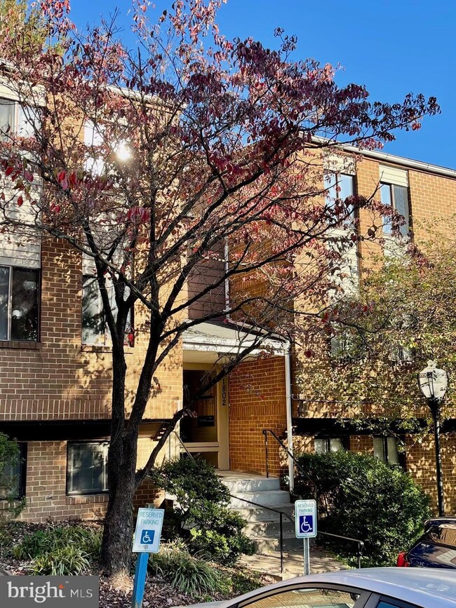 1802 Snow Meadow Ln unit 108, Baltimore, MD 21209 - photo 4