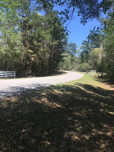 Lot 48 Pipestone Rd, Magnolia, TX 77354 - photo 7