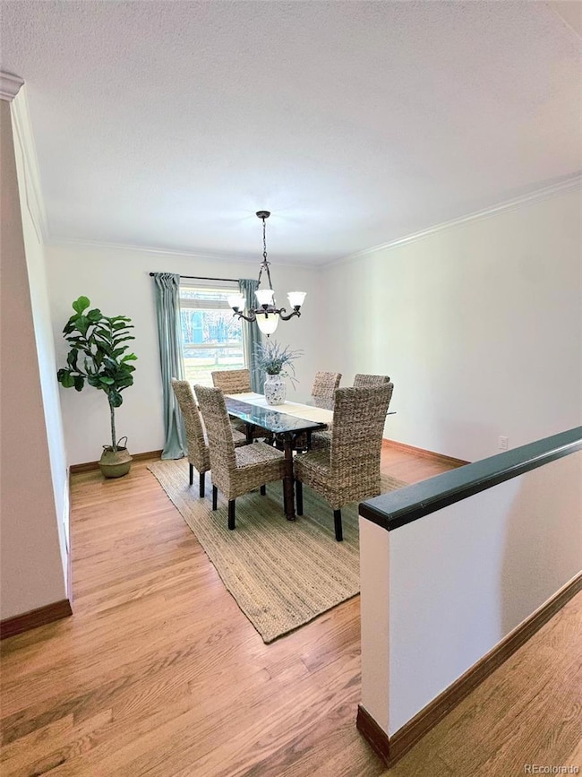 7412 Berkeley Ct, Castle Pines, CO 80108 - photo 6