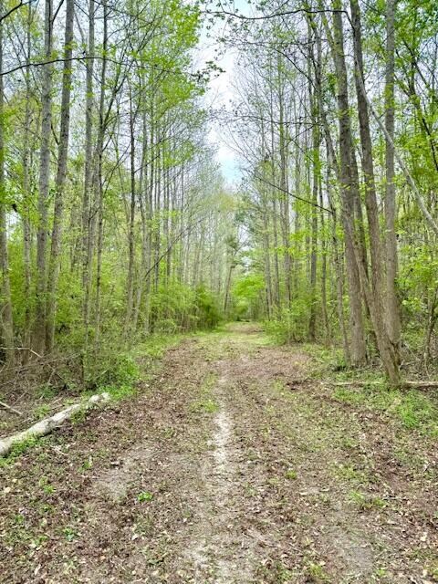 2150 Brown Rd, Hephzibah, GA 30815 - photo 6