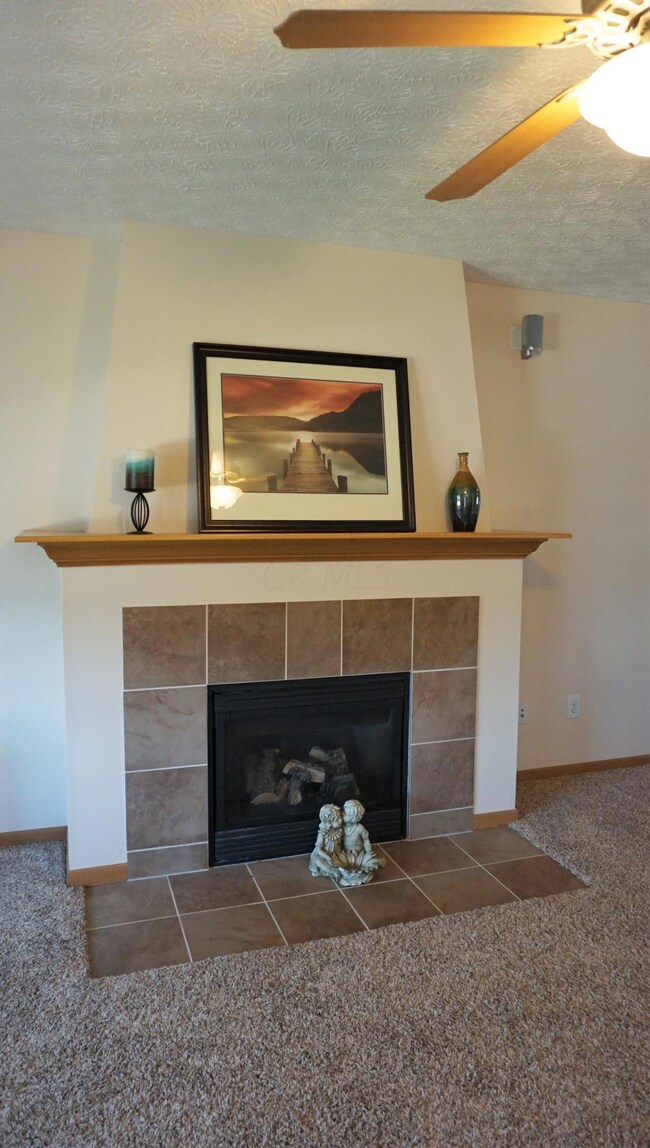 5500 Lanterns Way -Gas Fireplace