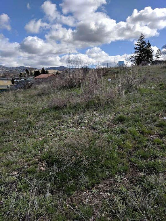 0 Trinity St unit lot 12, Klamath Falls, OR 97601 - photo 4