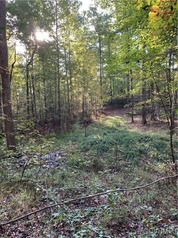 945 Fawn Haven Dr, Midlothian, VA 23113 - photo 5