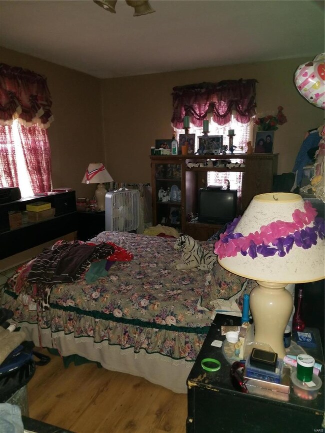 117 O Fallon St, Hannibal, MO 63401 - photo 7