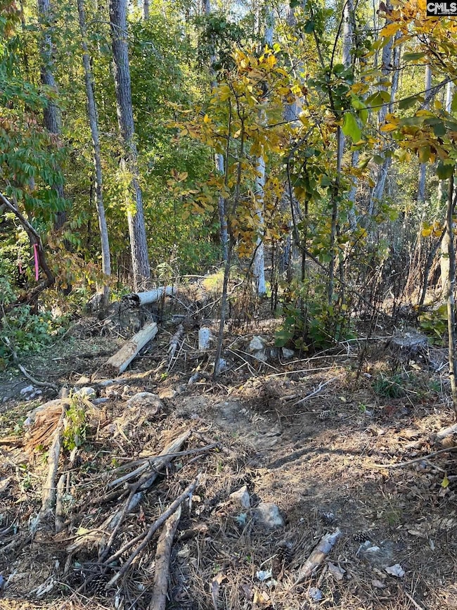 DRF 1 Dawkins Rd unit DRF 1, Pacolet, SC 29372 - photo 5