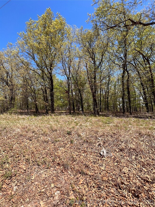 206 Cherokee Trail, Spavinaw, OK 74366 - photo 6