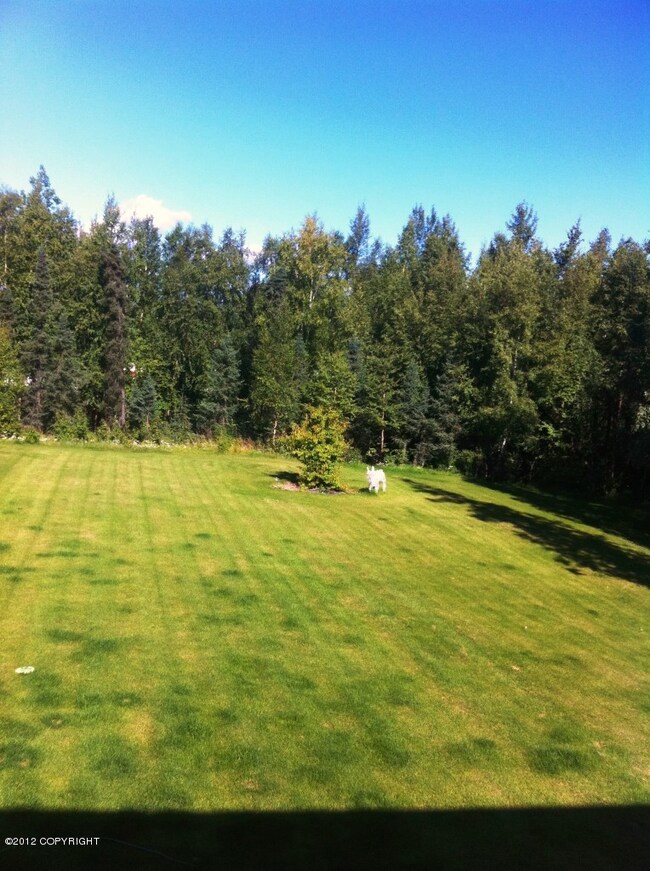 Yard View from Deck