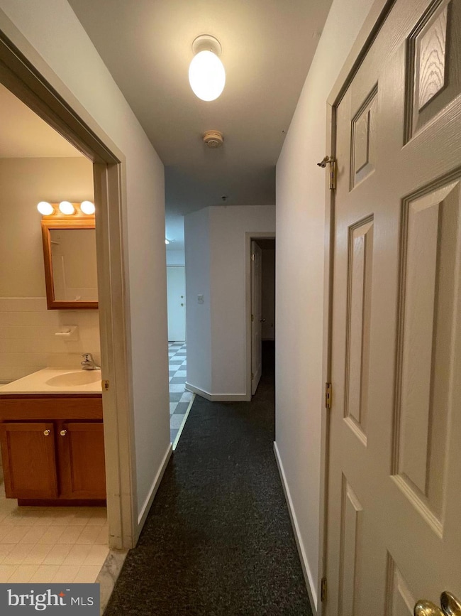 159 E Chestnut St unit 2 E, Bechtelsville, PA 19505 - photo 7