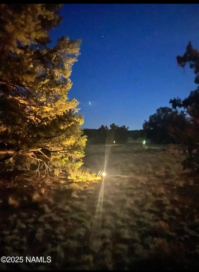 4500 N Bull Run Rd, Williams, AZ 86046 - photo 3