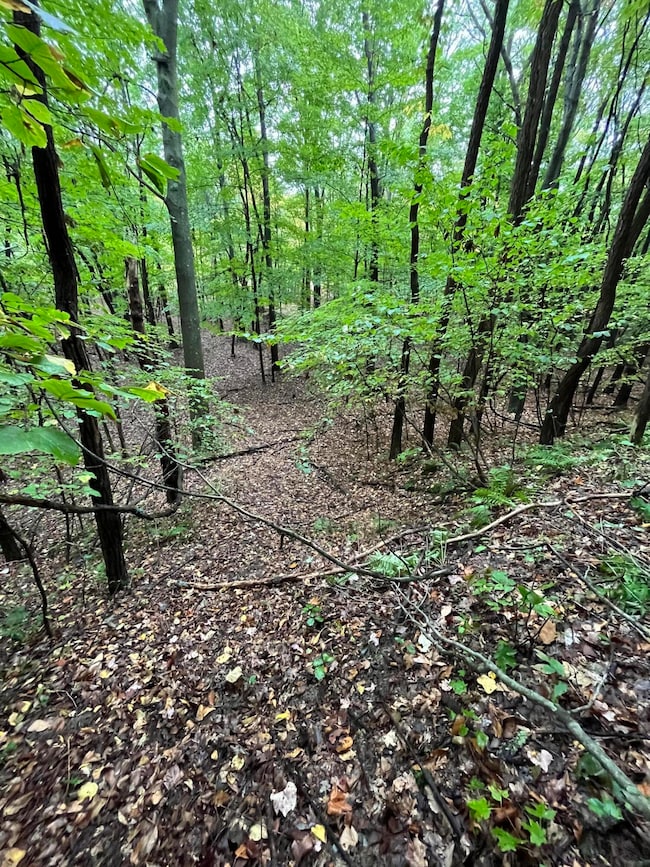 0 65th St, Holland, MI 49423 - photo 5