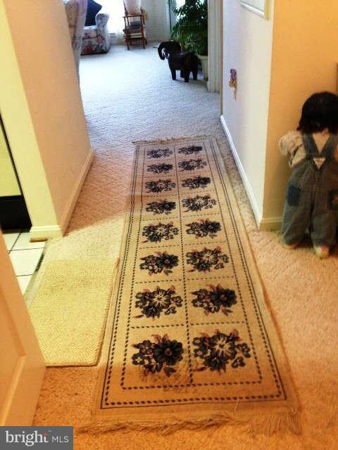 5573 Seminary Rd unit 205, Baileys Crossroads, VA 22041 - photo 6