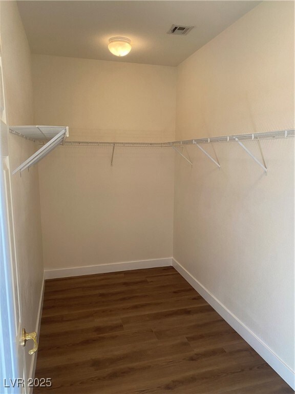 Spacious closet featuring dark wood-type flooring